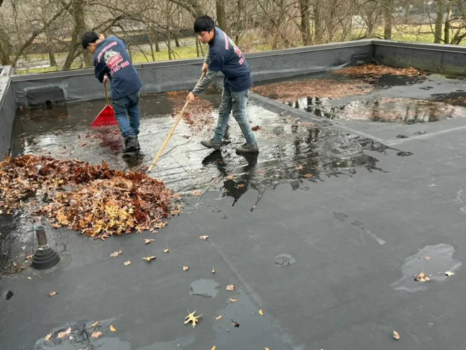Gutter Services